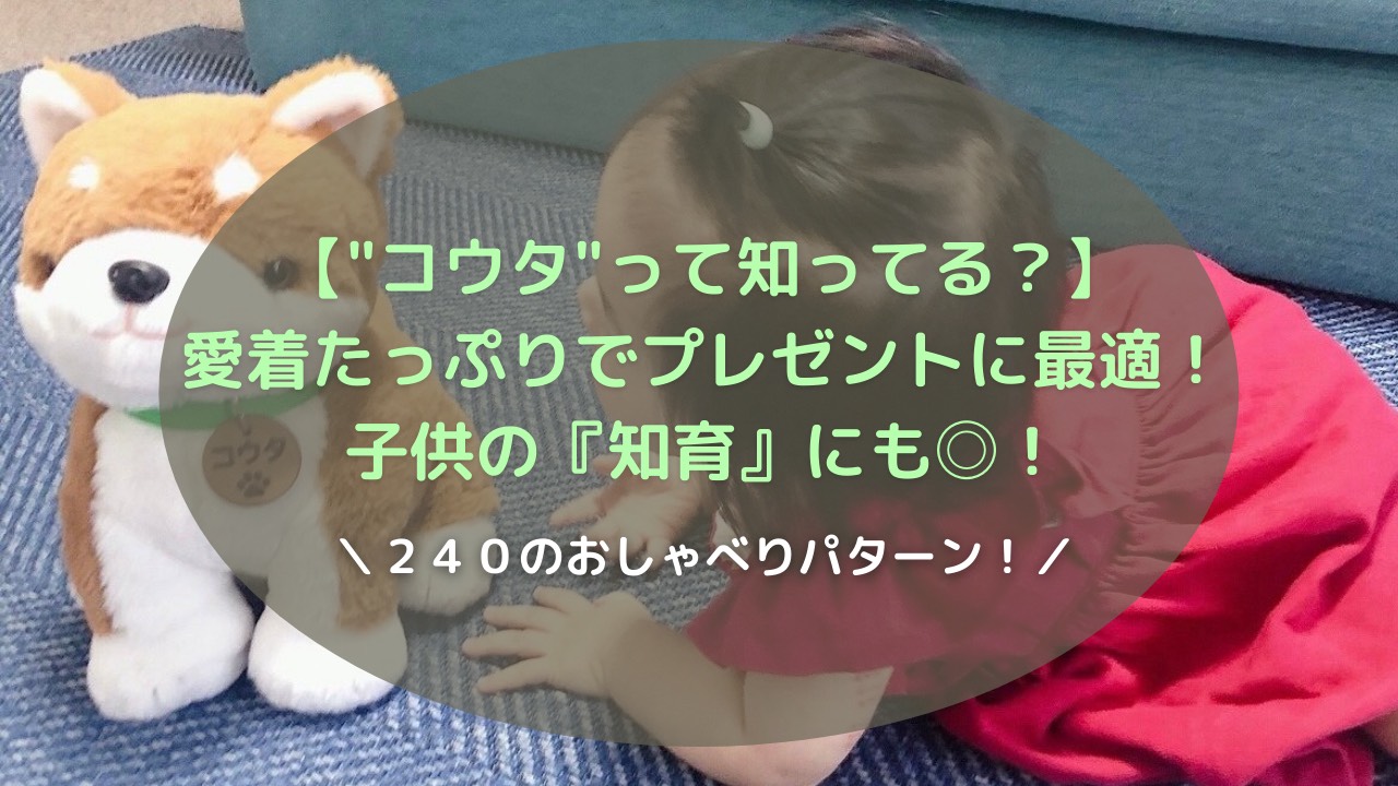 愛着 しゃべるぬいぐるみ コウタ って知ってる 子供のプレゼントにも最適